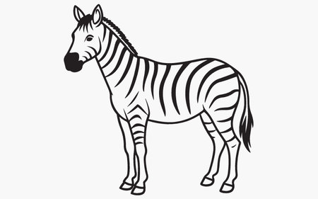 Zebra isolated on white background. Vector illustration. Eps 10.のイラスト素材