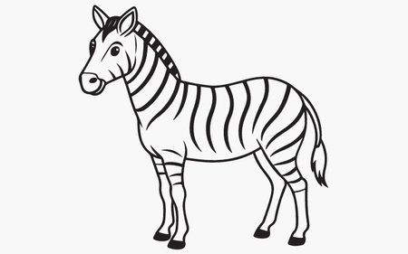 Zebra isolated on white background. Vector illustration for your design.のイラスト素材