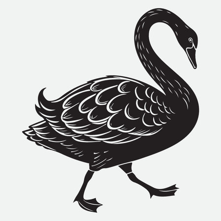Black swan isolated on white background. Vector hand drawn illustration.のイラスト素材