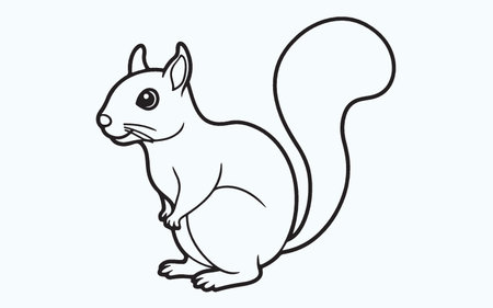 Squirrel. Vector illustration of a squirrel isolated on a white background.のイラスト素材