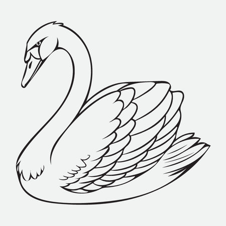 Swan isolated on white background. Hand drawn sketch. Vector illustration.のイラスト素材