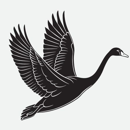 Black swan silhouette isolated on white background. Vector illustration for your designのイラスト素材