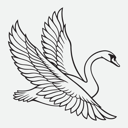 Flying swan. Black and white vector illustration isolated on white background.のイラスト素材