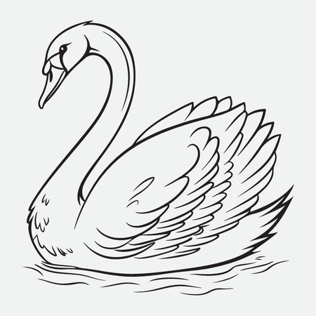 Swan. Hand drawn vector illustration. Isolated on white background.のイラスト素材