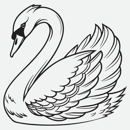 Swan. Black and white vector illustration. Isolated on white background.のイラスト素材