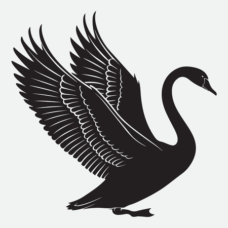 Swan black silhouette on white background. Vector illustration for your designのイラスト素材