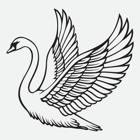 Vector image of a swan. Black and white illustration with a swan.のイラスト素材