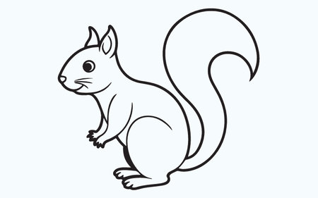 Squirrel. Vector illustration of a squirrel on a white background.のイラスト素材