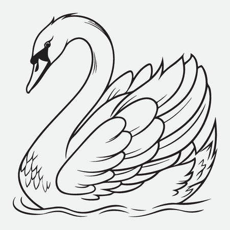 Swan on a white background. Vector illustration of a swan.のイラスト素材
