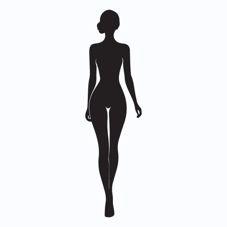 Silhouette of a female body on a white background. Vector illustrationのイラスト素材