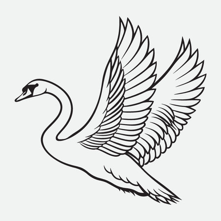 Swan. Black and white vector illustration. Isolated on white background.のイラスト素材