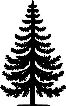 Silhouette of a coniferous tree on a white backgroundのイラスト素材