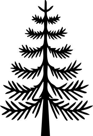Silhouette of a coniferous tree on a white backgroundのイラスト素材