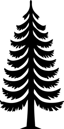 Silhouette of a coniferous tree on a white backgroundのイラスト素材