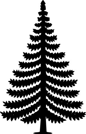 Silhouette of a coniferous tree on a white backgroundのイラスト素材