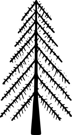Silhouette of a spruce tree. Vector illustration ready for vinyl cutting.のイラスト素材