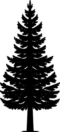 Black Silhouette of Pine Tree on White Background, Vector Illustrationのイラスト素材