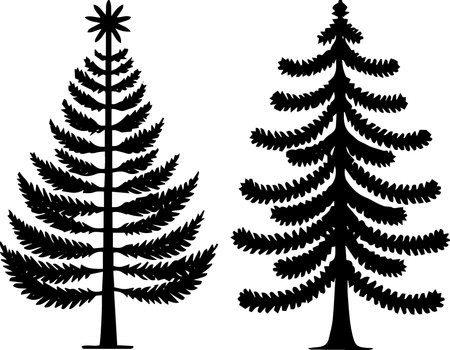 Silhouette of a coniferous tree. Vector illustration.のイラスト素材