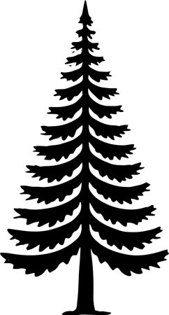 Silhouette of a coniferous tree on a white backgroundのイラスト素材