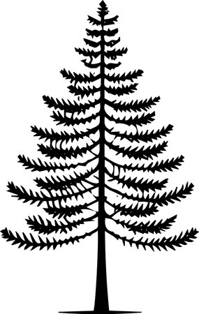 Silhouette of a pine tree on a white background. Vector illustrationのイラスト素材