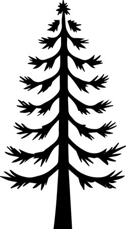 Silhouette of a coniferous tree. Vector illustration.のイラスト素材