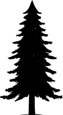 Silhouette of a coniferous tree on a white backgroundのイラスト素材
