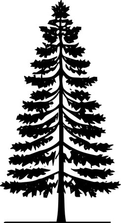 Silhouette of a coniferous tree. Vector illustration.のイラスト素材
