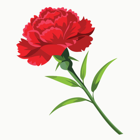 a vibrant red carnation flower with lush green leaves gracefully presented against a clean white background a simple floral imageのイラスト素材