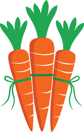 A vibrant illustration depicts three bright orange carrots tied together with green stems and twine high quality professionalのイラスト素材