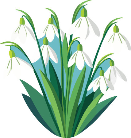 A delicate cluster of snowdrop flowers with green stems and leaves presented on a light blue backdropのイラスト素材