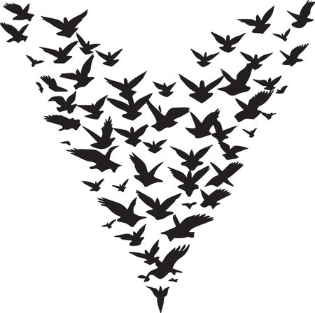 Black silhouette vector of birds flying in a heart shape formation on white backgroundのイラスト素材