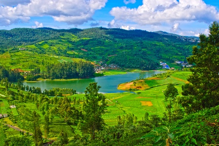 Scotland hidden in Indiaの写真素材