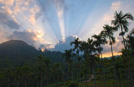 Sun setting amongst hills and coconut treesの写真素材
