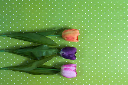 Three artificial tulips on a green backgroundの写真素材