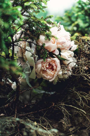 luxurious bridal bouquet of white peonies in coniferous bushesの写真素材