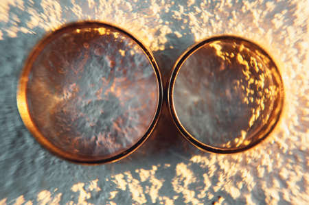 classic gold wedding rings on a white backgroundの写真素材