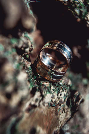 Wide two-tone wedding rings on wooden crustの写真素材