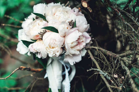 luxurious bridal bouquet of white peonies in coniferous bushesの写真素材