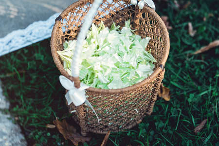 basket full of carnation petalsの写真素材