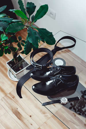 Close up of modern groom accessories. black necktie, leather shoes belt and watchの写真素材