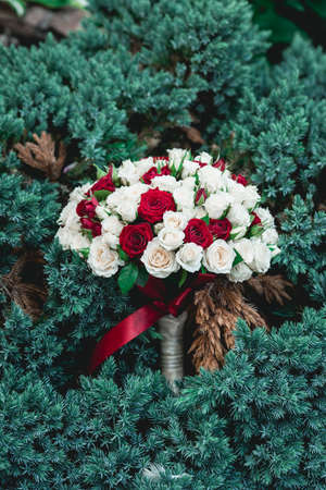 wedding bouquets of biege and red rosesの写真素材