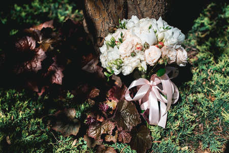 luxurious bridal bouquet of white peonies and roses in coniferous bushesの写真素材