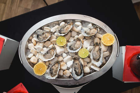 fresh Oyster served on white stones on a trayの写真素材