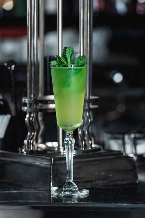Green refreshing Alcoholic Cocktail. Mint on topの写真素材