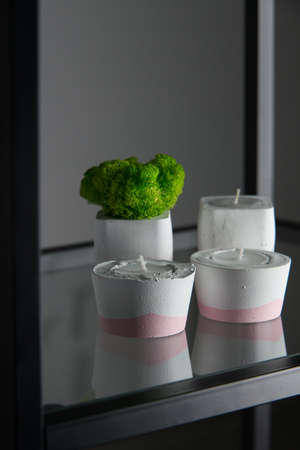 candles and moss in white and pink concrete candle holders.の写真素材