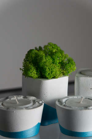 candles and moss in white and blue concrete candle holders.の写真素材