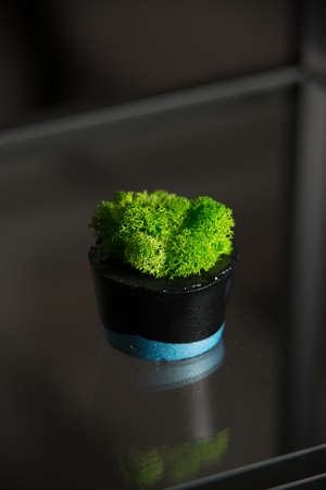 moss in black and blue concrete pot.の写真素材