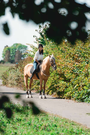 Portrait of young brunette woman in a white shirt and helmet on a horse. learns to ride a horse. riding lessons in a parkの写真素材