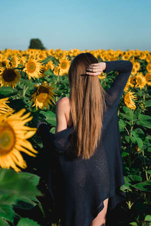 Beautiful young woman in sexy lingerie on the field of sunflowers. morning sunlight. long brown hairの写真素材