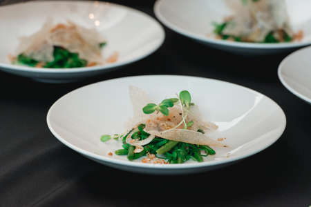 Few plates of crispy Calamari Salad with lettuce, lemon and asparagusの写真素材